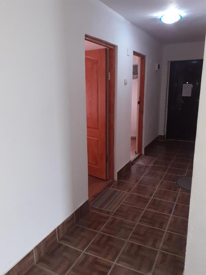 Casa Denisa Vidraru Transfgarasan Hotell Căpăţîneni-Ungureni Eksteriør bilde
