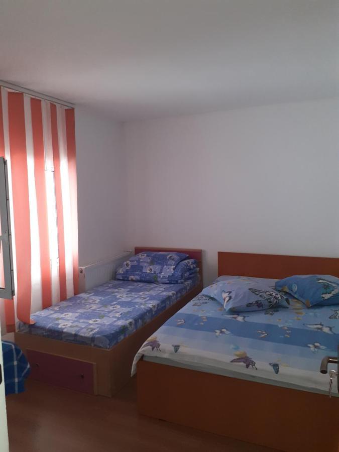 Casa Denisa Vidraru Transfgarasan Hotell Căpăţîneni-Ungureni Eksteriør bilde