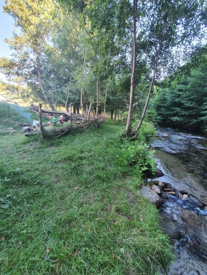 Casa Denisa Vidraru Transfgarasan Hotell Căpăţîneni-Ungureni Eksteriør bilde