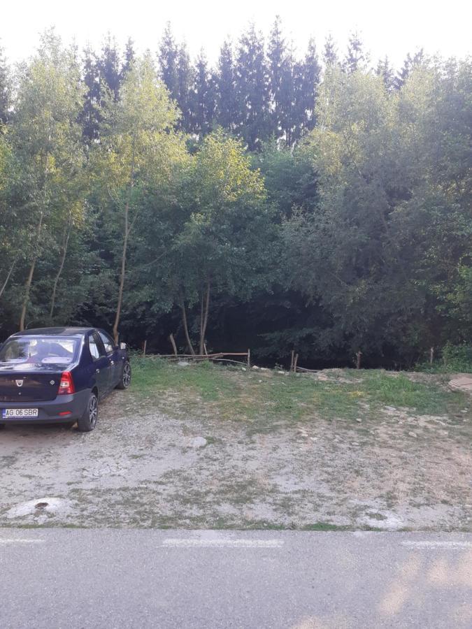 Casa Denisa Vidraru Transfgarasan Hotell Căpăţîneni-Ungureni Eksteriør bilde
