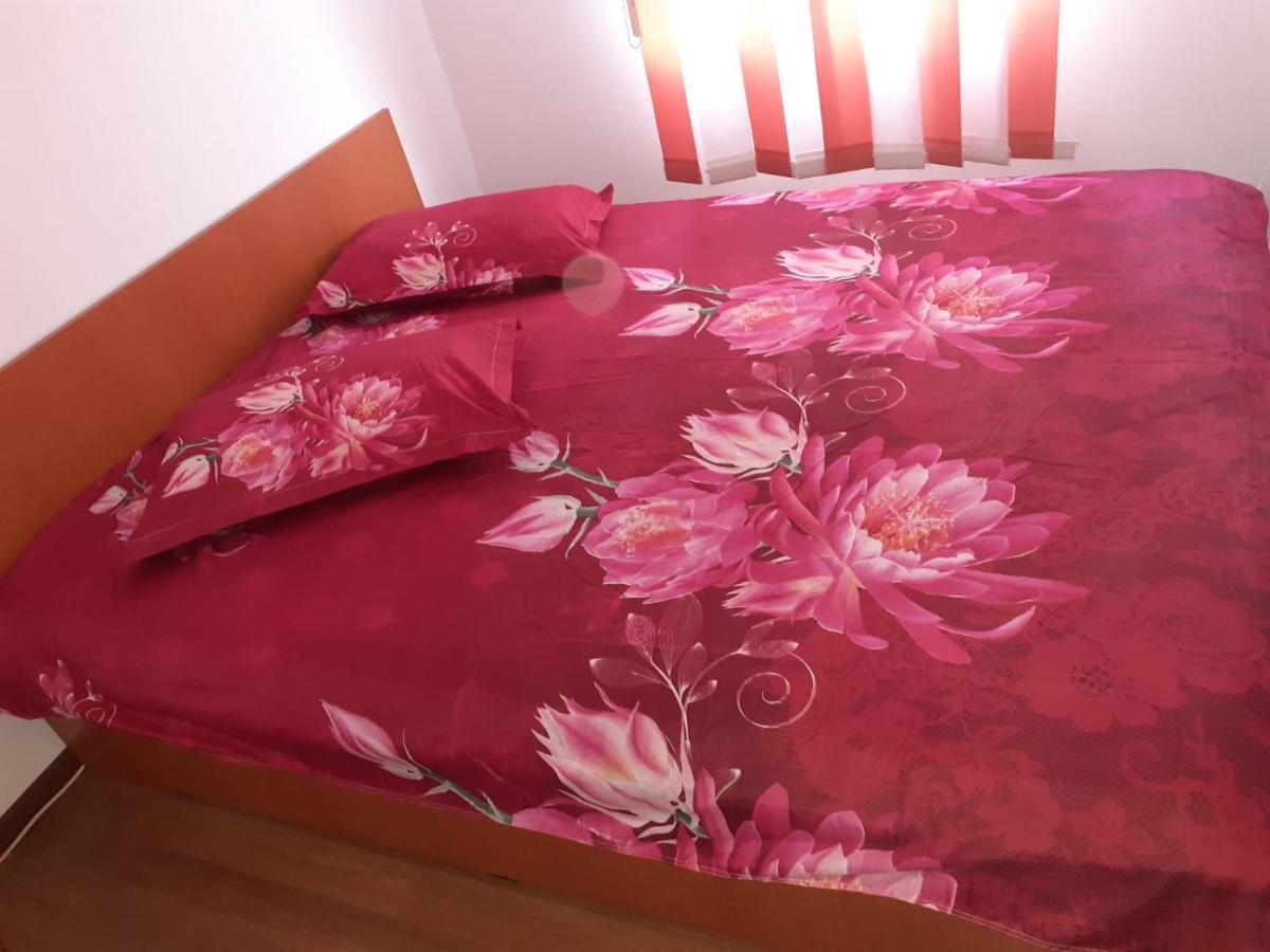 Casa Denisa Vidraru Transfgarasan Hotell Căpăţîneni-Ungureni Eksteriør bilde