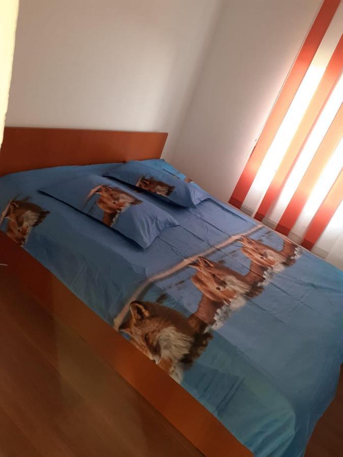 Casa Denisa Vidraru Transfgarasan Hotell Căpăţîneni-Ungureni Eksteriør bilde