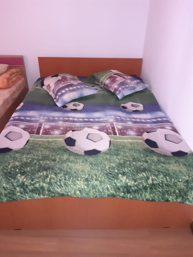 Casa Denisa Vidraru Transfgarasan Hotell Căpăţîneni-Ungureni Eksteriør bilde